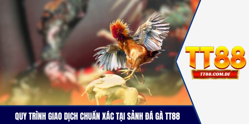 Quy trình giao dịch chuẩn xác tại sảnh đá gà TT88